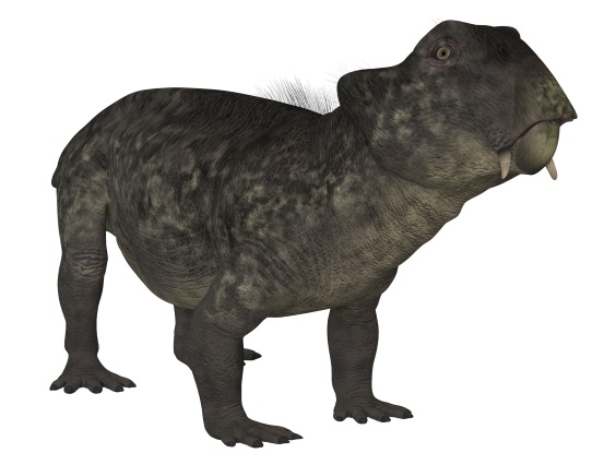リストロサウルスの画像