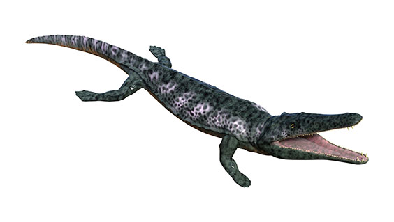アルケゴサウルスの画像